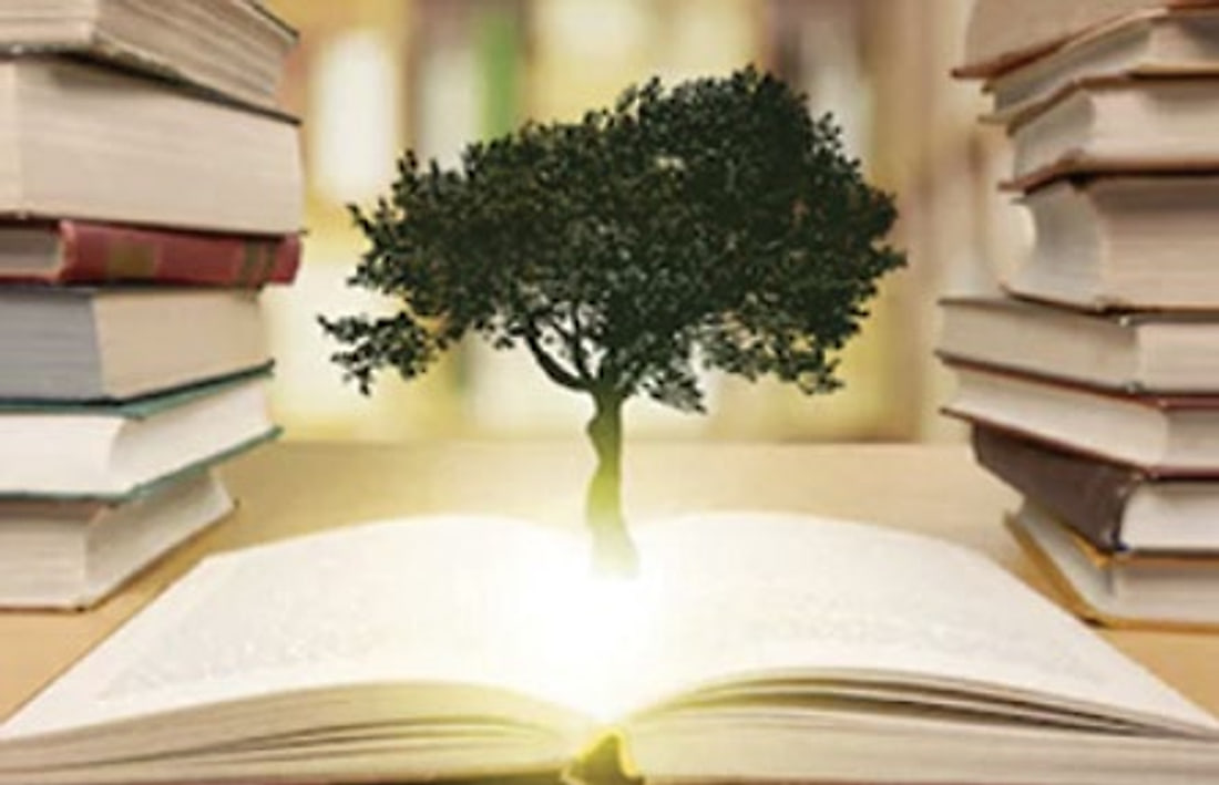 A young tree growing from an open book